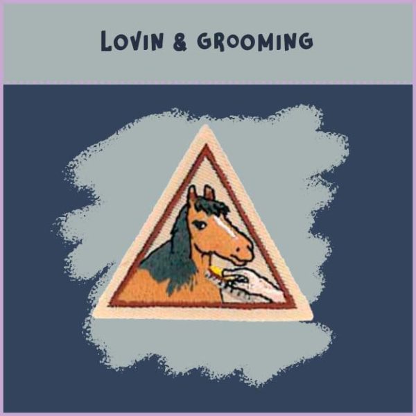 Horsin' Around Patch with DIY Paint Kit - Image 2