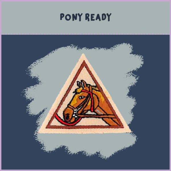 Horsin' Around Patch - Image 4