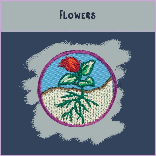 Flowers Girl Scout Badge