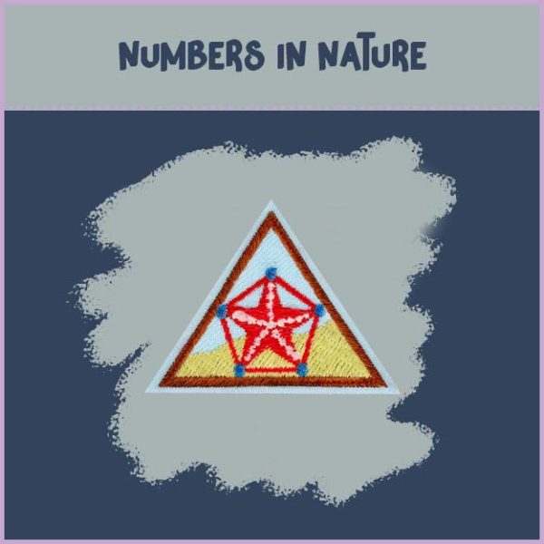 Brownie- Math in Nature - Image 3