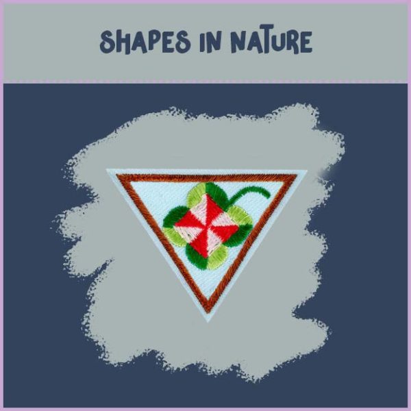 Brownie- Math in Nature - Image 2