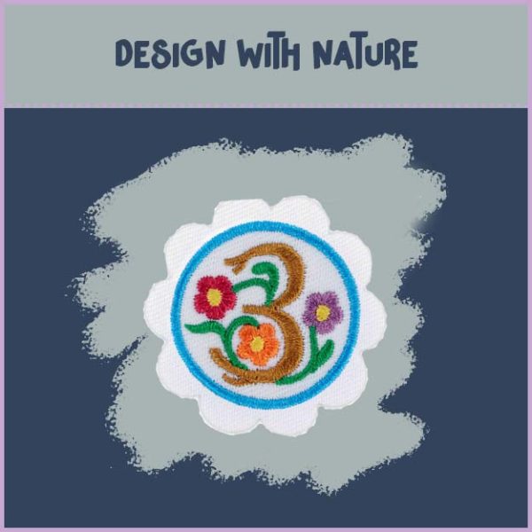Daisy - Math in Nature - Image 4