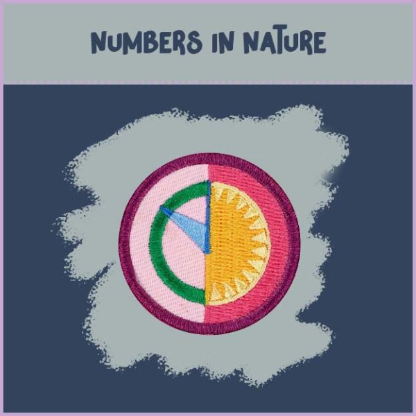 Juniors - Math in Nature - Image 3