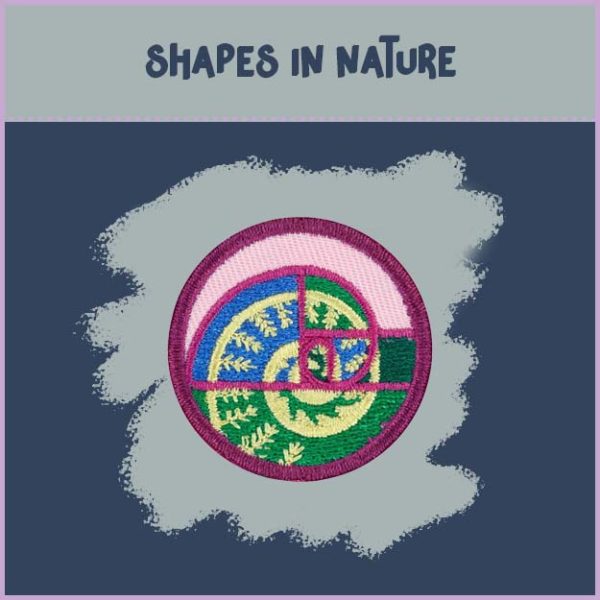 Juniors - Math in Nature - Image 4