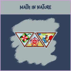 Brownie- Math in Nature