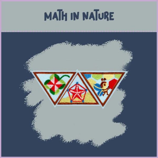 Brownie- Math in Nature