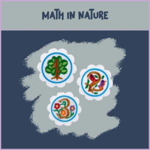 Daisy - Math in Nature