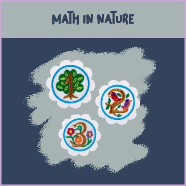 Daisy - Math in Nature