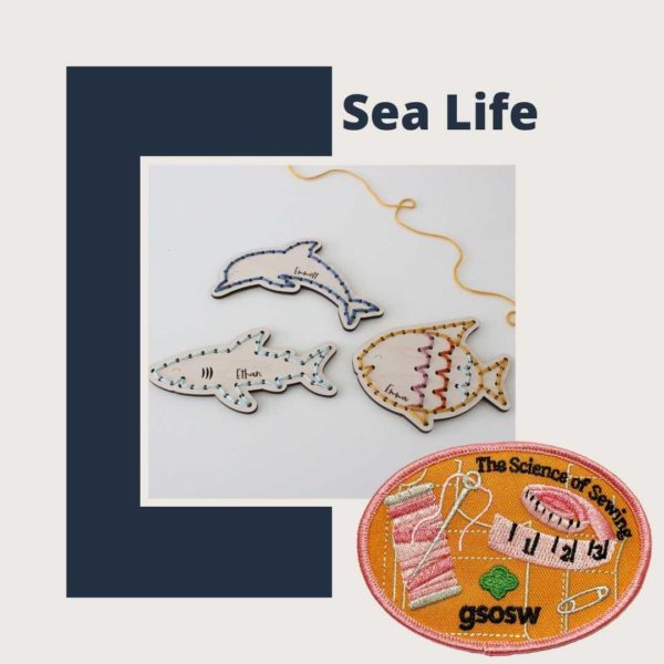 Science of Sewing - Wood Embroidery Kits - Image 5