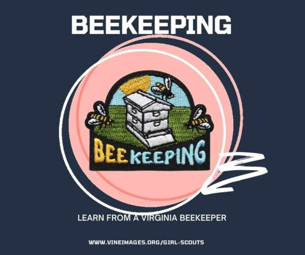 BeeKeeping