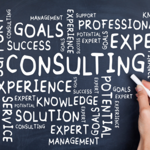 Travel Business Strategy Consultation